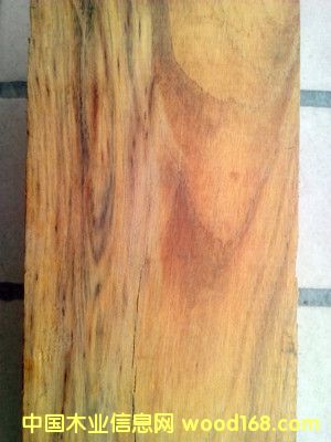 黃花梨的詳細(xì)介紹