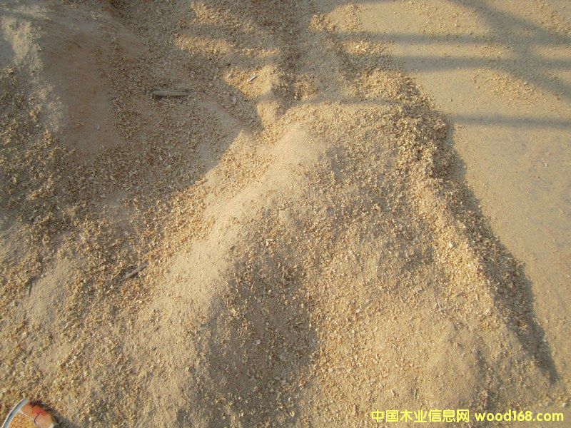 鋸末2的詳細(xì)介紹