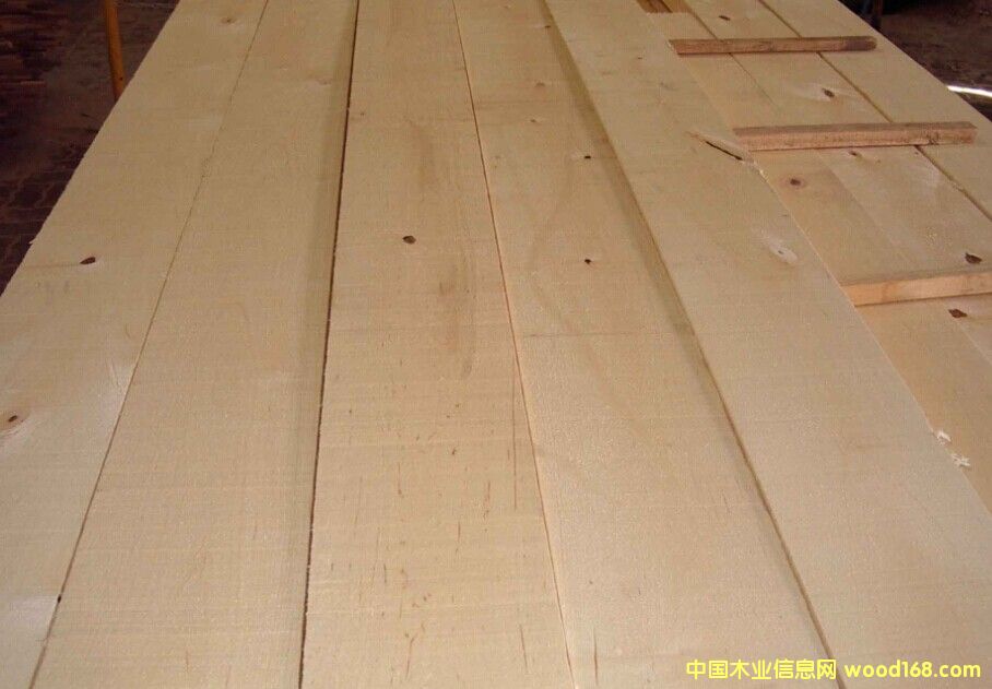 相思木的詳細(xì)介紹