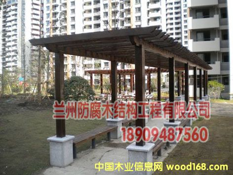 [] mݷľȼ18909487560