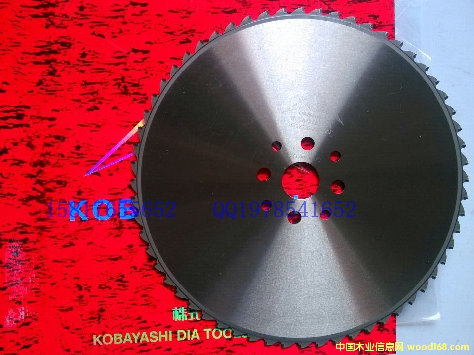 KOBAYASHIDIA䏵Ԕ(x)B