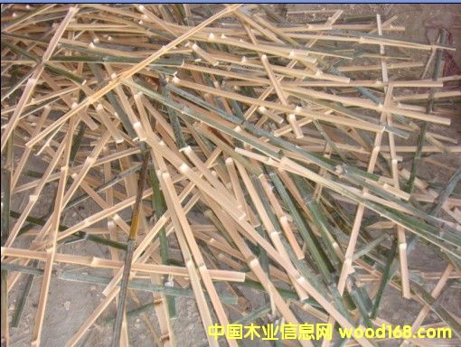 ë̿lK񺞵ԔB