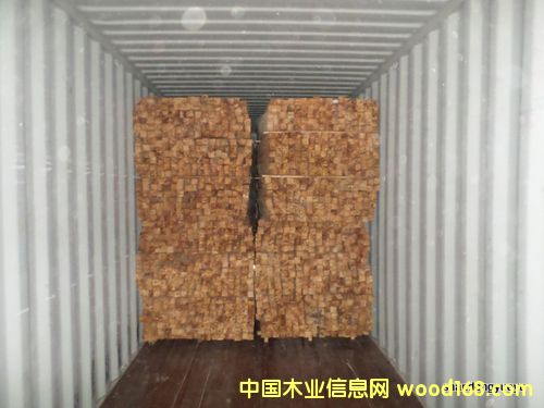 ̩zľľľֵȘϵԔ(x)B