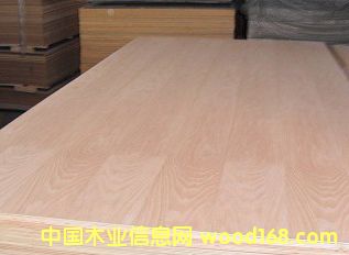 ָӰzϰzϰNӰԔB