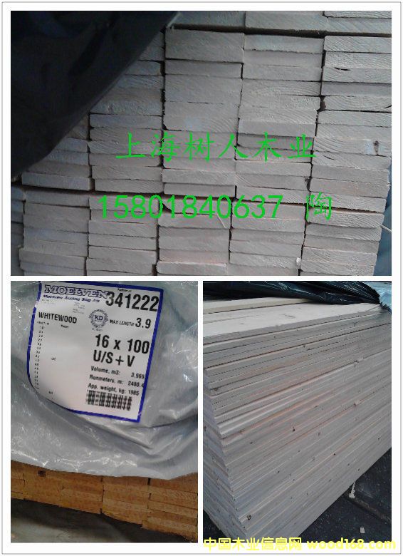 云杉的詳細介紹