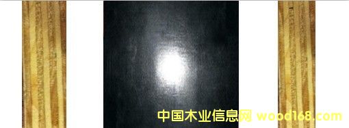 (yng)N(xio)] Ʒ|(zh)ˮĤ帲Ĥ塾gӭ(li)ԃ(xn)Ԕ(x)B