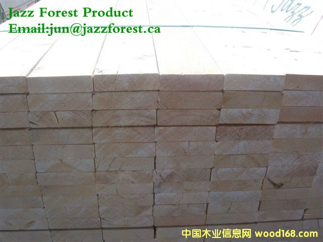 [] ôľĹ˾ֱSPFɼFɼ