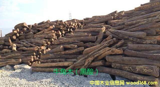 牛角木的詳細(xì)介紹