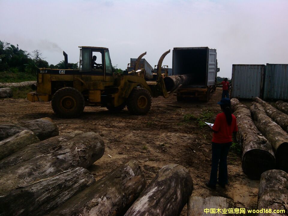 原木出售的詳細(xì)介紹