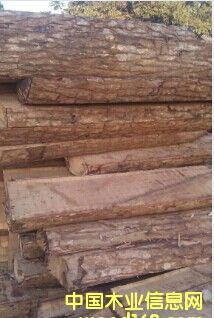 ޻ ̴ Īɣȿ˵Ԕ(x)B