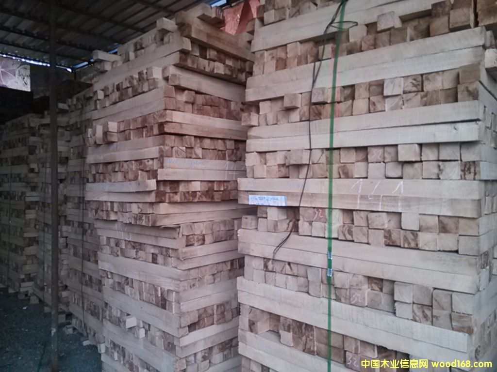 橡膠木的詳細(xì)介紹