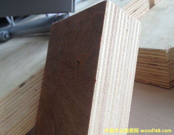 ӺƤzϰ40mmҾ߼ðĵԔB