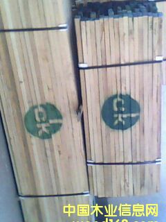 tľľںľS