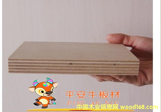 12Ӱ壬zϰƽţƵҾ߰ĵԔ(x)B