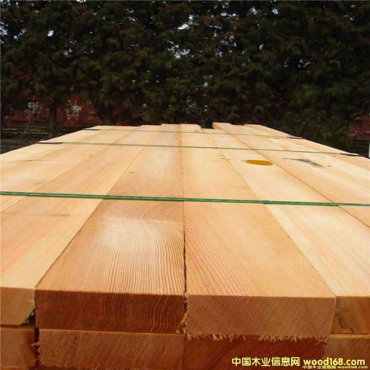 Lڹ(yng)FɼɰĽϼҾߟo(ji)ďSֱN