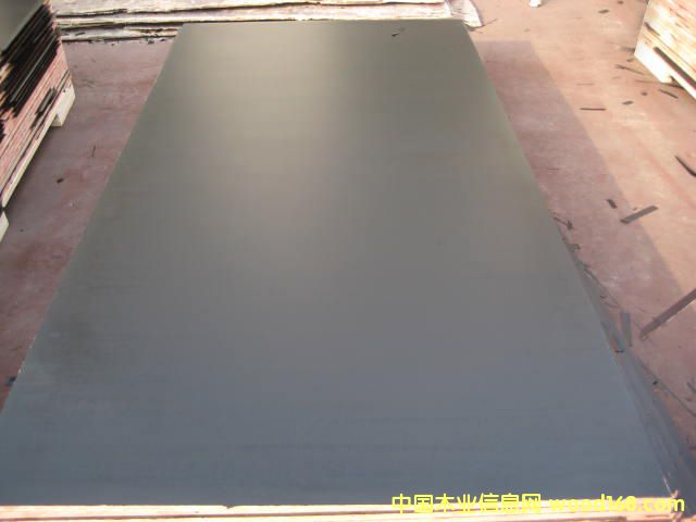 黑膜的詳細(xì)介紹