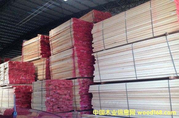 歐洲櫸木的詳細(xì)介紹