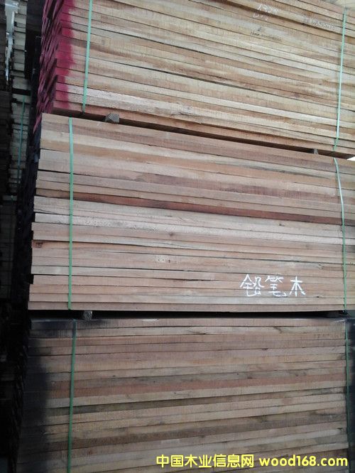 鉛筆柏的詳細(xì)介紹