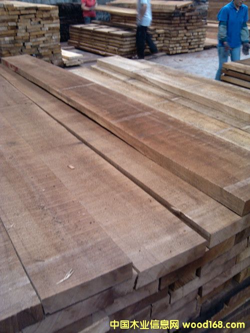 雜木的詳細(xì)介紹