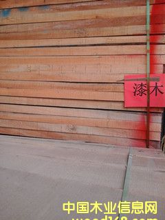 柒木的詳細(xì)介紹