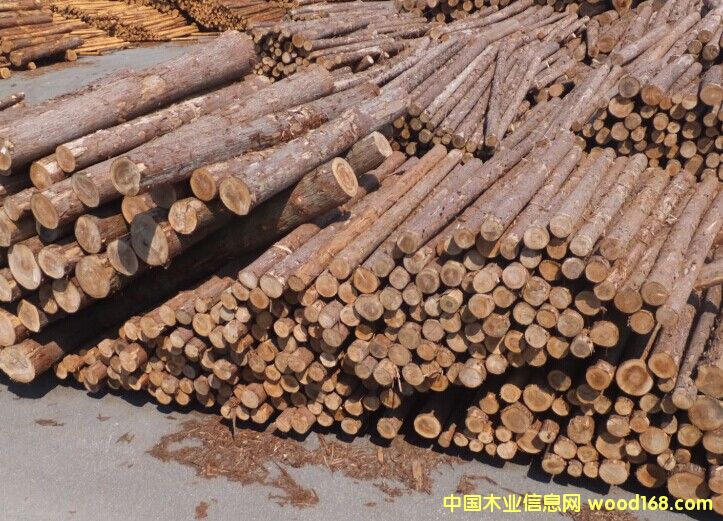 柳杉原木的詳細(xì)介紹