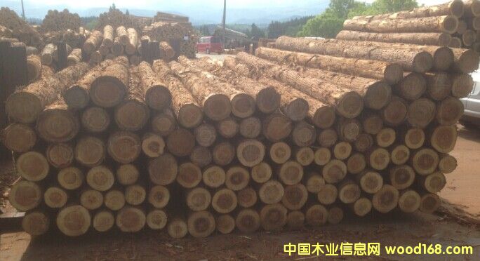 柳杉原木的詳細(xì)介紹