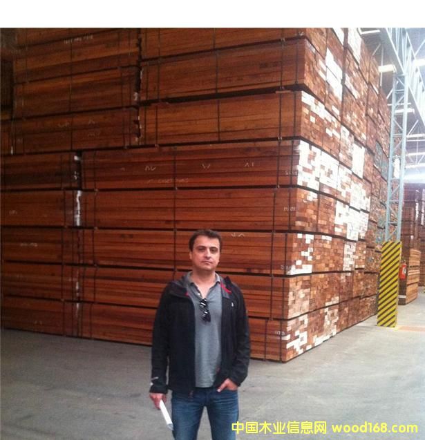 巴西紅木的詳細(xì)介紹
