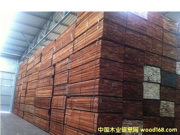 巴西紅木的詳細(xì)介紹