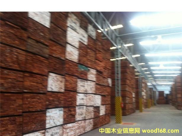 巴西紅木的詳細(xì)介紹
