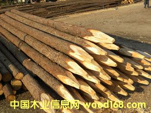 ɼľ阶ӵԔ(x)B