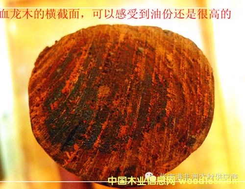 ѪľļtɫԽ͸Խ