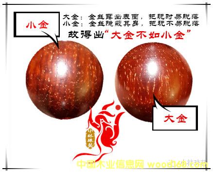 教你看清楚小葉紫檀的大金星和小金星