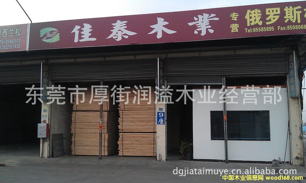 |ݸdI(y)ľЈ̩ľI(y)