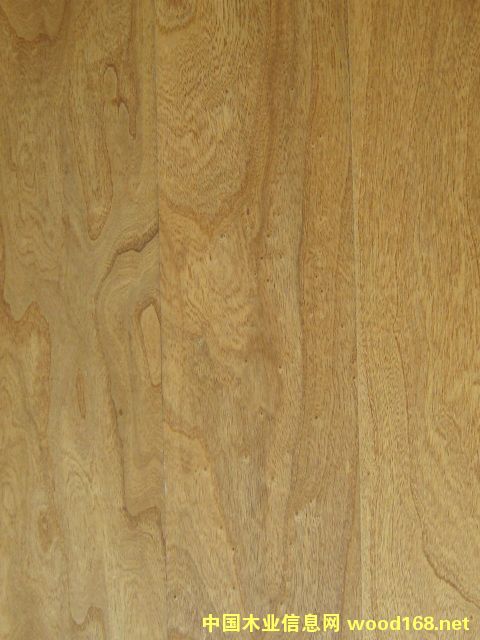 ľɫHLNP201202Ԕ(x)B