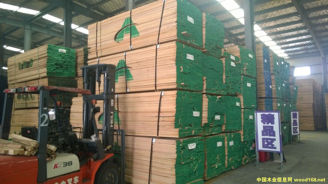 紅橡的詳細(xì)介紹