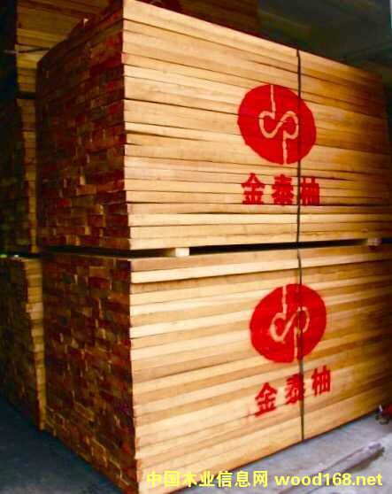 金泰柚的詳細介紹