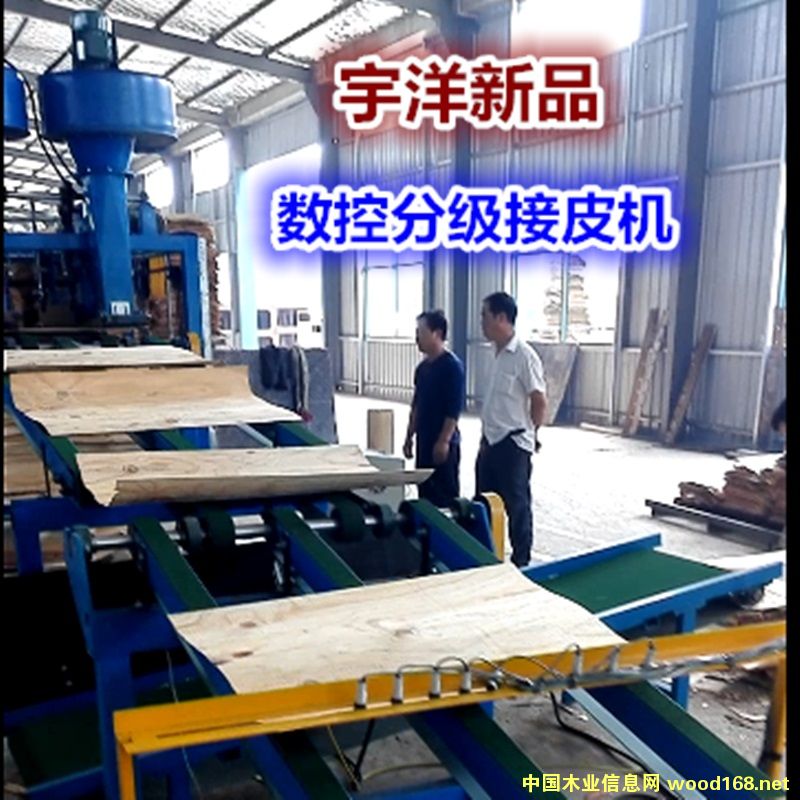 ȫԄ(dng)(sh)طּ(j)ƤC(j)Ԕ(x)B