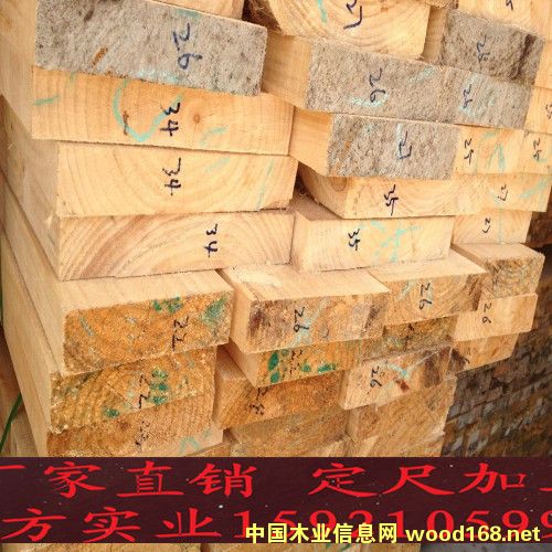 輻射松的詳細介紹