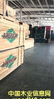 白襐的詳細(xì)介紹