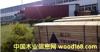 白襐的詳細(xì)介紹