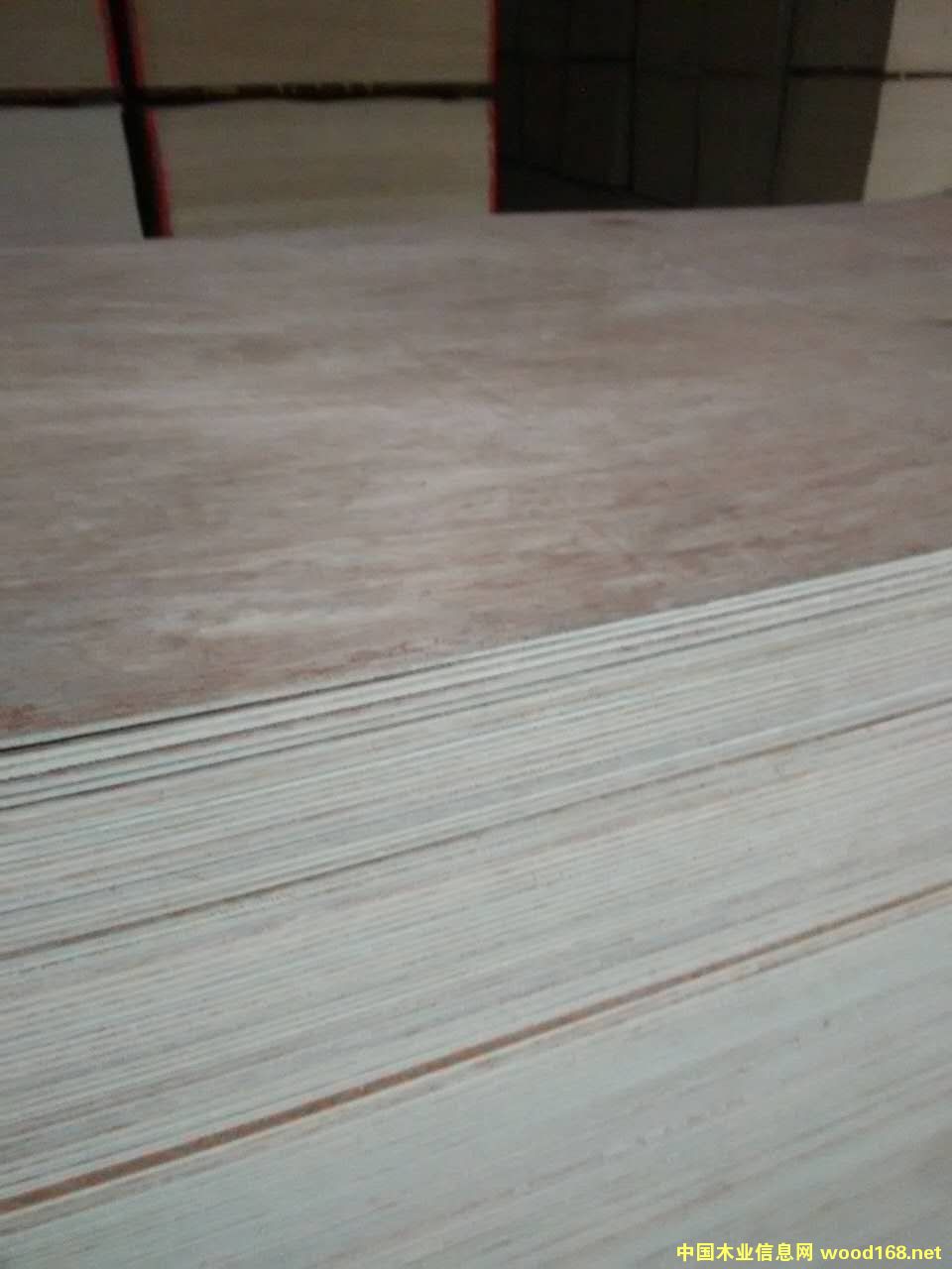 [] zϰSҼֱNh(hun)zE0eҾ߰b