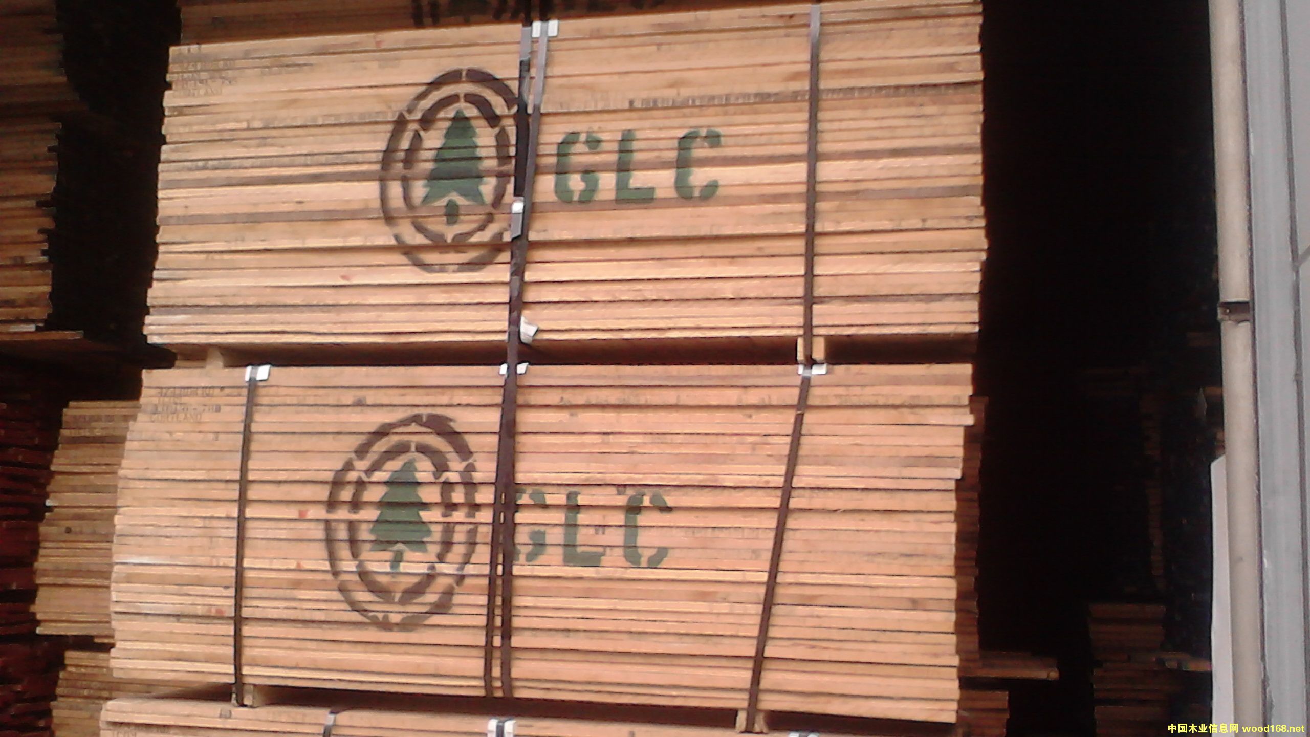 紅橡木的詳細(xì)介紹