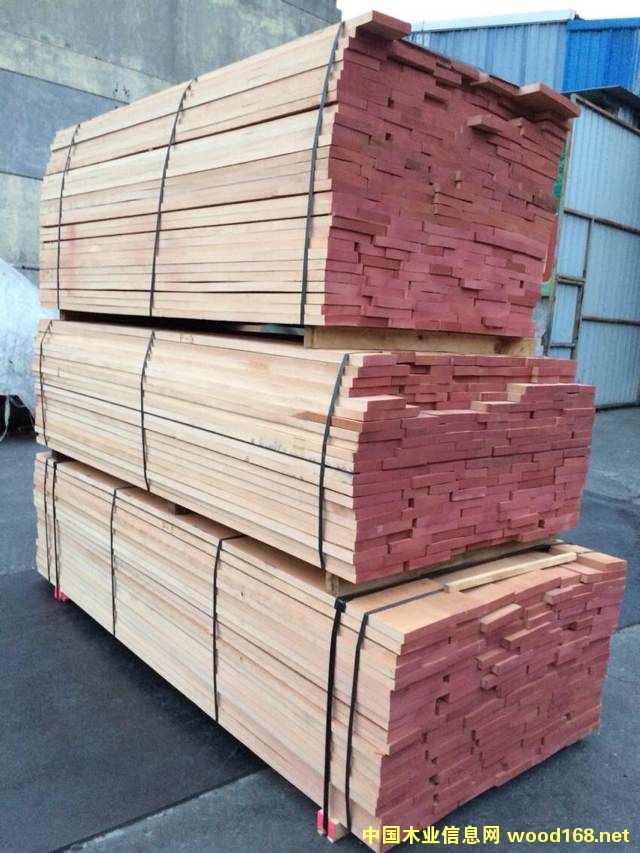 櫸木的詳細(xì)介紹