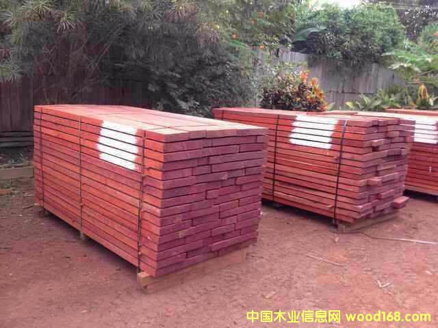 紅花梨的詳細(xì)介紹