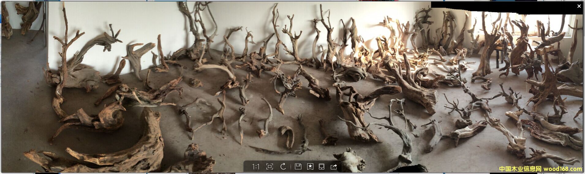 毛料的詳細介紹