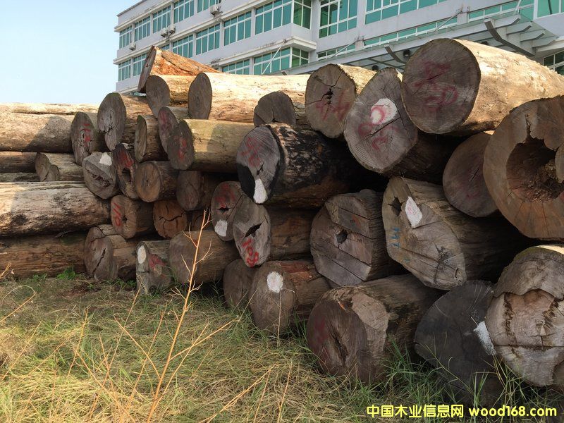 黨ԭľ 70 cm * 5 m))Ԕ(x)B