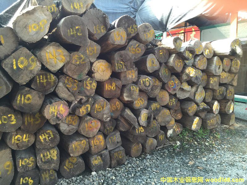 黨ԭľ30 cm X 3 m)Ԕ(x)B