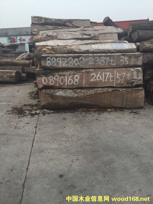 緬茄的詳細(xì)介紹