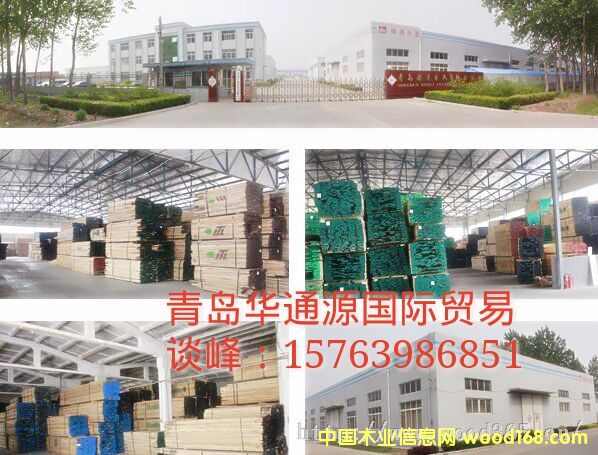 紅橡的詳細介紹