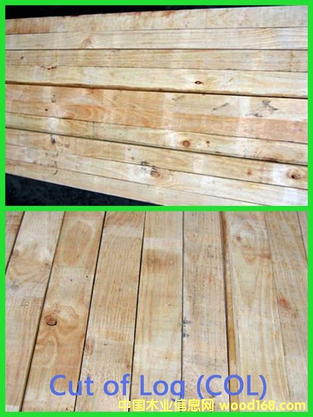 PAN PACScolҾ߼(j)Ԕ(x)B